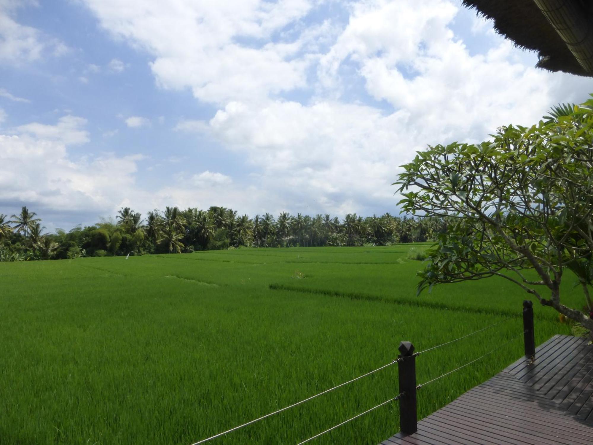 Bali Harmony Villa Ubud Zimmer foto
